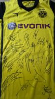 BVB Borussia Dortmund Original unterschriebenes Trikot 2013/14 Düsseldorf - Pempelfort Vorschau