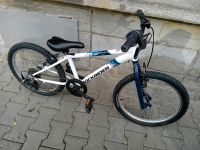 Fahrrad weiss 4 bis 7 Jahren Rheinland-Pfalz - Bad Sobernheim Vorschau