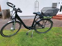 28 Zoll E-Bike Curtis , RH 48 cm , 7-Gang,  Akku neu Schleswig-Holstein - Hohenlockstedt Vorschau