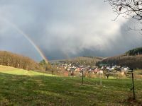 Koppel/ Weide / Wiese zur Pferdehaltung in Waldsolms gesucht Hessen - Waldsolms Vorschau