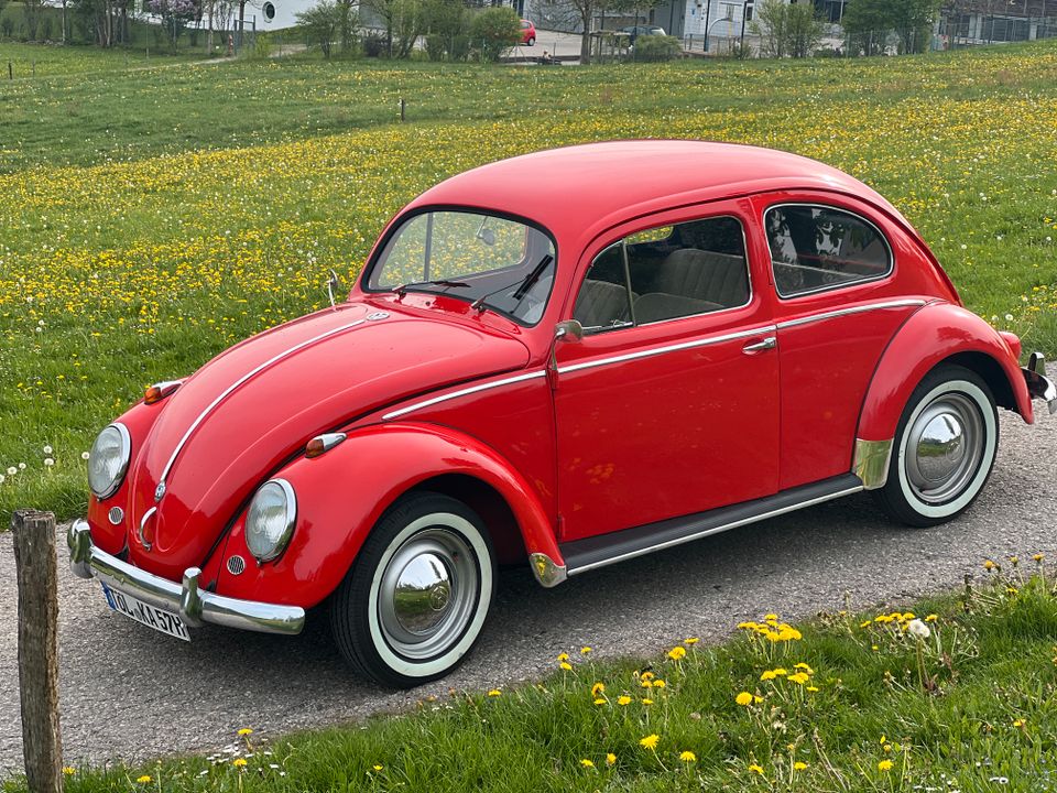 Volkswagen Käfer Export Ovali 1957, Winker, mit Papp Brief in Bad Tölz