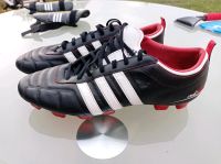 Adidas Fußballschuhe  Größe 47(46)Schuhe wurden einmal benutzt. Sachsen-Anhalt - Großbadegast Vorschau