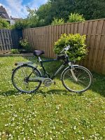 Fahrrad Pegasus 28 Zoll Duisburg - Duisburg-Süd Vorschau