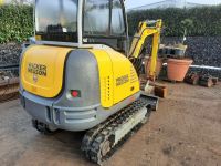 Minibagger Wacker Neuson 2503 zu vermieten Nordrhein-Westfalen - Oelde Vorschau