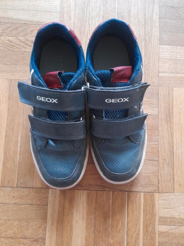 Halbschuhe GEOX in Sehnde