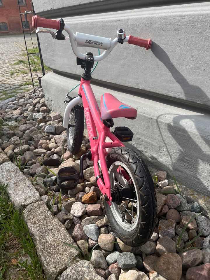 Mérida Kinderfahrrad in Schwedt (Oder)