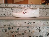 lacoste schuhe  ohne Karton schnell melden Nordrhein-Westfalen - Willebadessen Vorschau