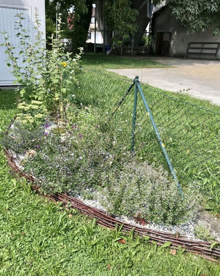 Wildstaudenbeet Nützlinge Bienen Hummeln Schmetterlinge Garten in Schwenningen