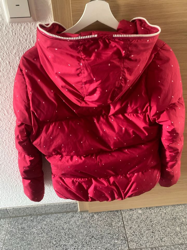 Adidas Daunenjacke Gr. 36 in Volkertshausen