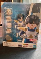 S.H.Figuarts Son Gohan Dresden - Laubegast Vorschau