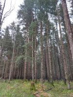 Waldgrundstück gesucht Bayern - Wielenbach Vorschau