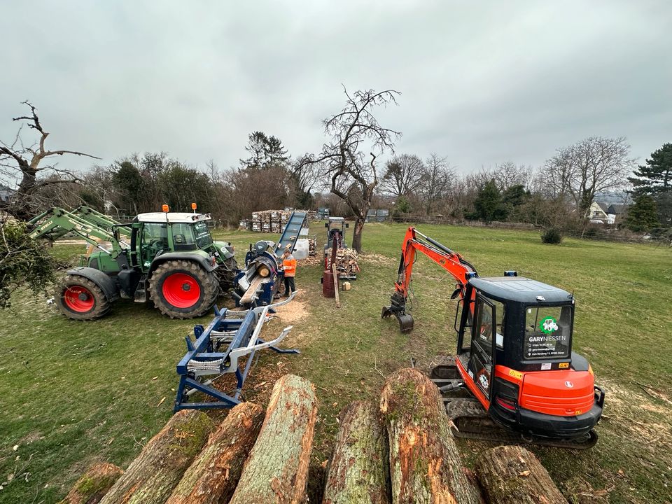 Brennholz Kaminholz in Düren