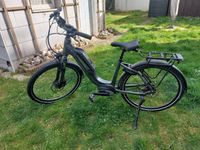 E-Bike Citybike Falter E 9.3 FL, 26“ – wie Neu! Nürnberg (Mittelfr) - Aussenstadt-Sued Vorschau