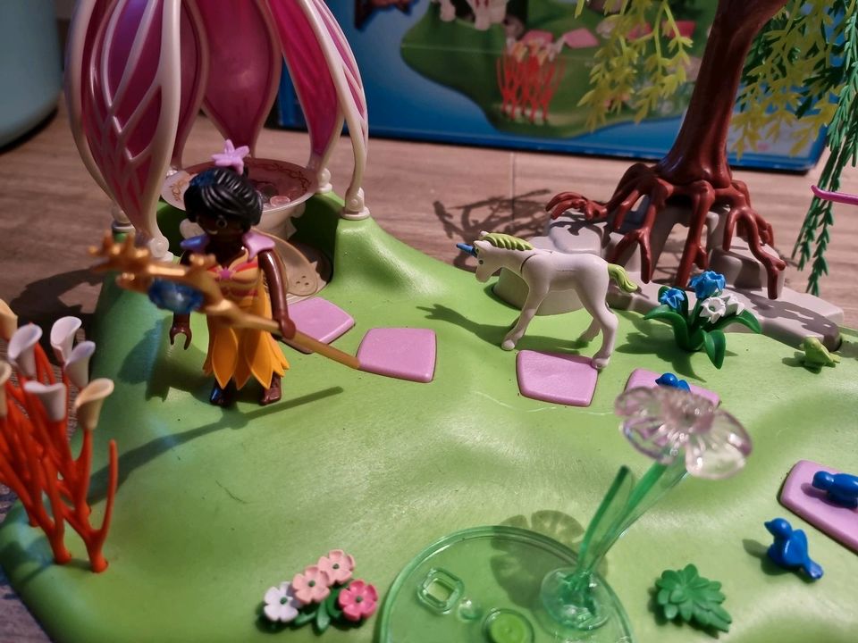 Playmobil 54444: Feeninsel mit magischem Licht in Lüdenscheid