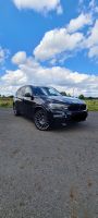 BMW X5 xDrive30d Münster (Westfalen) - Wolbeck Vorschau