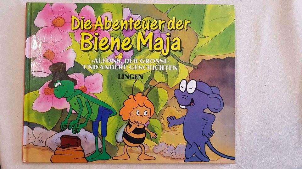 Kinderbuch: Die Abenteuer der Biene Maja - Alfons der Große u.a. in Dresden