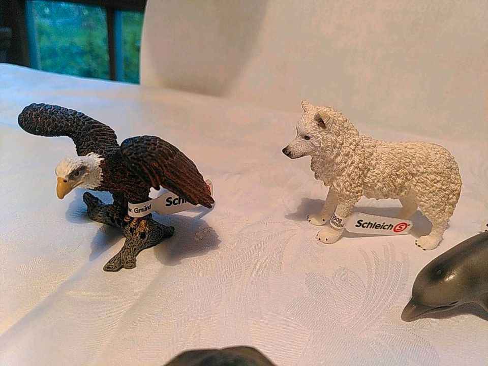 Schleich Tiere Schildkröte, Schneewolf in München