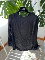 Zara Bluse mit Federn Stuttgart - Mühlhausen Vorschau
