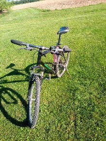 Mountainbike Wheeler 7700 in Sandhausen