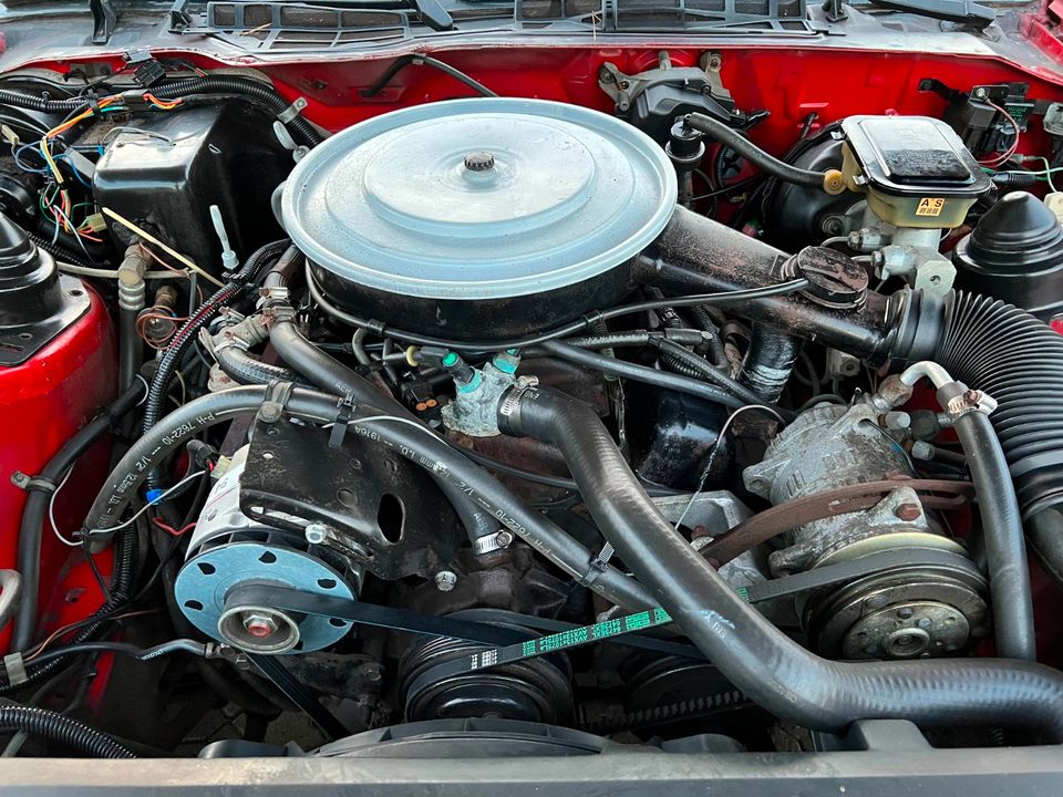 1986 Pontiac Firebird Trans Am V8 5.0 in Handewitt