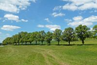 Kaufe: Acker, Wiese, Wald Baden-Württemberg - Nürtingen Vorschau