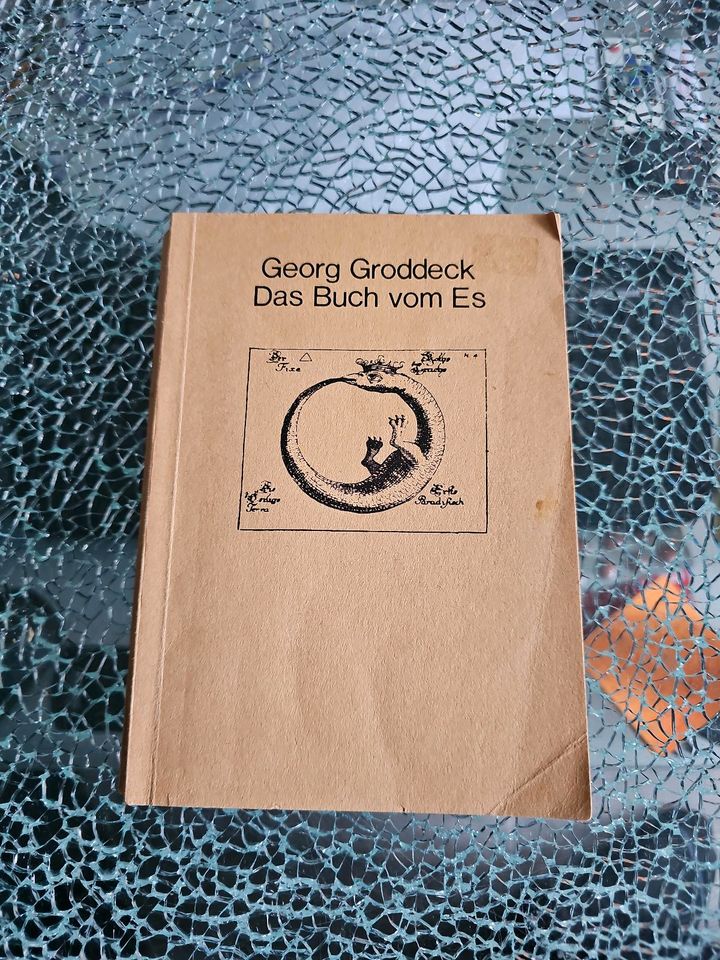 Das Buch vom Es Georg Groddeck in Krempe