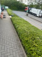 Grünpflege Nordrhein-Westfalen - Herne Vorschau