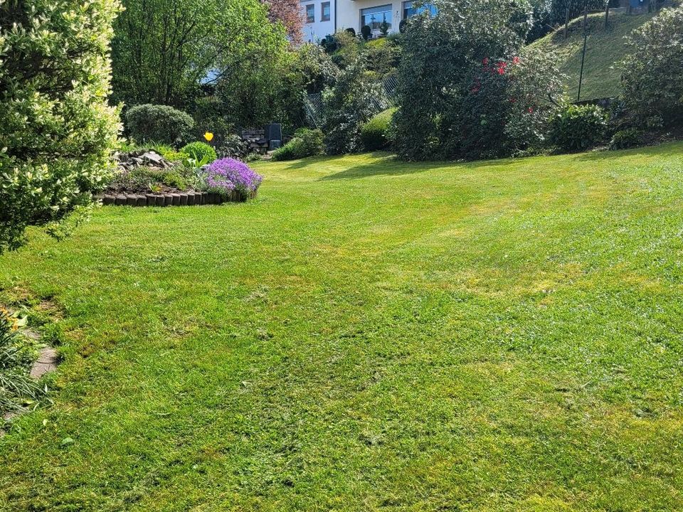 Gartenarbeiten Rasenpflege Heckenschnitt Unkrautentfernung in Mörlenbach