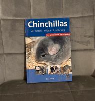 Chinchillas Verhalten - Pflege - Ernährung Baden-Württemberg - Mühlacker Vorschau