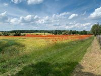 Brandenburg Wochenendhaus WG Mitbewohner gesucht Brandenburg - Passow Brandenburg Vorschau