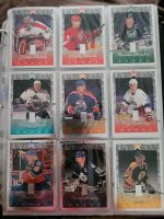 1995 - 96 Donruss Elite Hockey komplettes Set 110 Karten Bayern - Burgau Vorschau