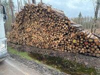 Brennholz, Stammholz Nadelholz, meist Käferholz Thüringen - Stadtroda Vorschau