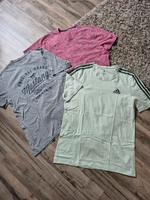 Herren Shirts von Mustang, Hollister Gr. L und Adidas Gr. M Mecklenburg-Vorpommern - Stralsund Vorschau