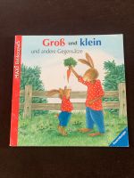 Groß und klein und andere Gegensätze Niedersachsen - Einbeck Vorschau