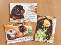 Postkarten Weihnachten Meerschweinchen Mecklenburg-Vorpommern - Ferdinandshof Vorschau