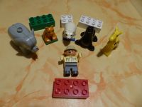 Lego Duplo Zootiere(Eisbär,Löwe,Elefant,Giraffe,Seehund)+Zoodir. Hessen - Florstadt Vorschau