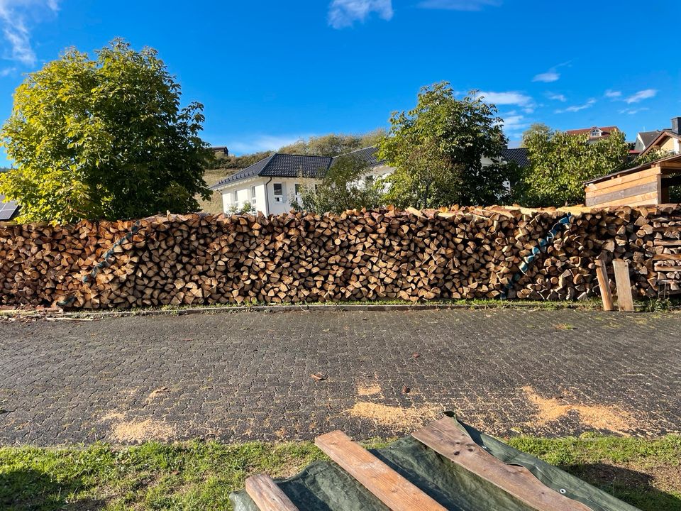 Brennholz Fichte, gespalten 1m Meterstücke in Bad Laasphe