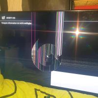 Sony Bravia 55 Zoll Schleswig-Holstein - Ahrensburg Vorschau