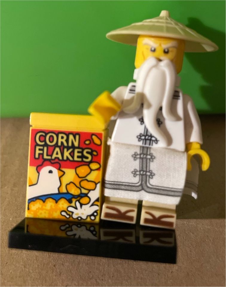 Lego Ninjago Movie 71019 Figur Nr. 4 Sensei Wu in Braunschweig