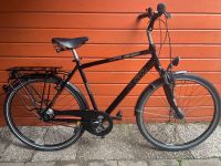 28 Zoll KTM Life Eight Herrenfahrrad Rücktritt-Nabendynamo-RH56cm Wandsbek - Hamburg Jenfeld Vorschau