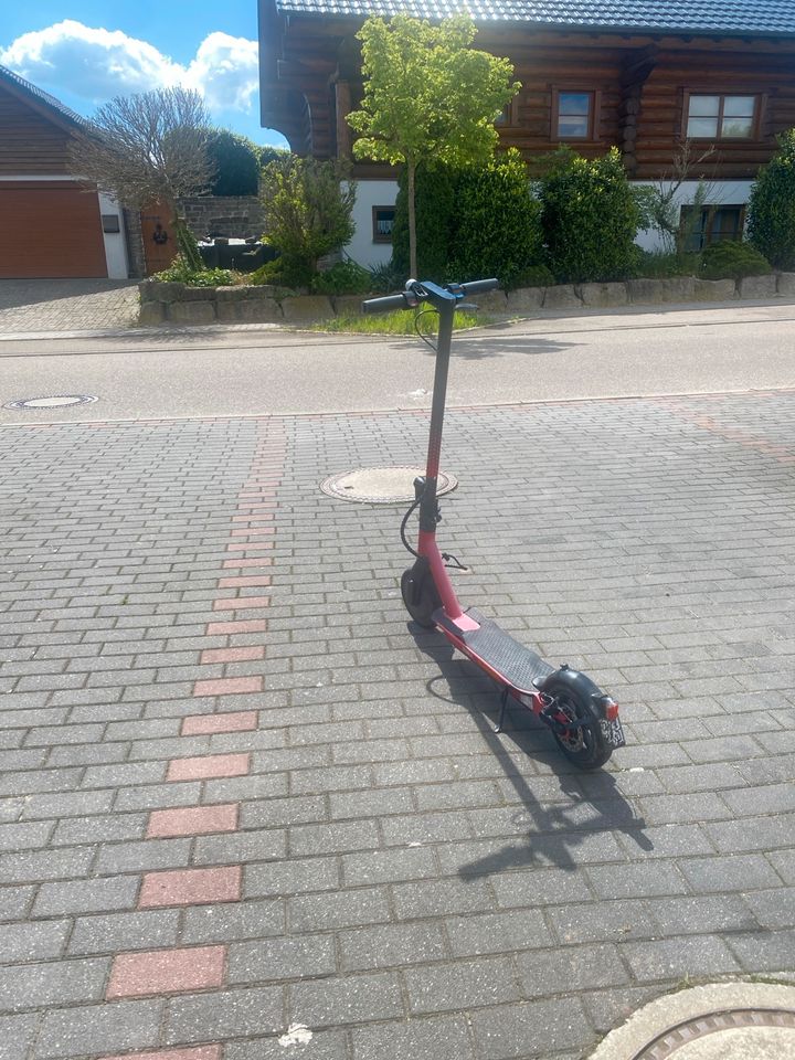 Doc Green E Scooter in Ellwangen (Jagst)