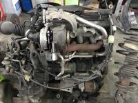 ✔️ Motor 1.9DCI F9Q816 RENAULT SCENIC II MEGANE II 67TKM KOMPLETT Berlin - Wilmersdorf Vorschau