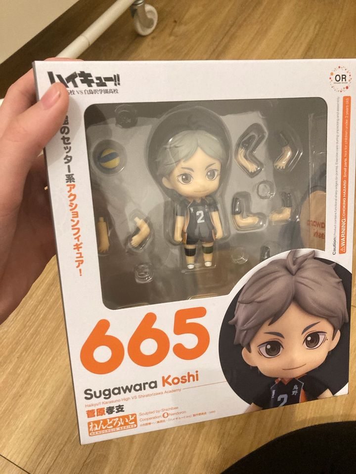 Haikyuu nendoroid sugawara in Dortmund