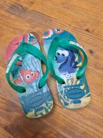 Havaianas Badeschlappen Badeschuhe Gr. 29/30 Dory Nemo Nordrhein-Westfalen - Sankt Augustin Vorschau