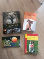 Hundebücher Ratgeber Hundetraining Treibball Wolf Hundeschule Nordrhein-Westfalen - Paderborn Vorschau