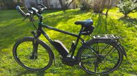 Herren E-Bike Pegasus Strong E10 Hessen - Oberursel (Taunus) Vorschau