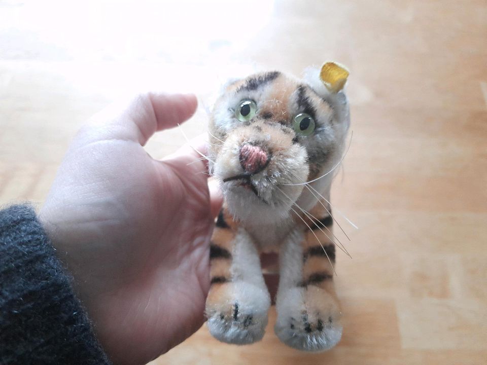 Original Steiff Tieger mit Knopf im Ohr/ Rarität in Büren