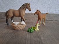 Schleich Horse Club Sarahs Tierbaby-Pflege Rheinland-Pfalz - Roschbach Vorschau