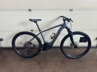 Specialized Levo ht Baden-Württemberg - Haigerloch Vorschau