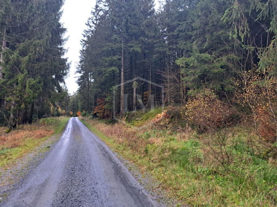 Forstwirtschaftliche Grundstücke in Willingen in Willingen (Upland)